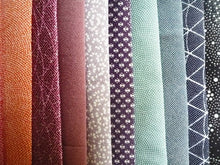 Load image into Gallery viewer, Edo Komon Small Prints Silk Kimono 10 Pieces Set